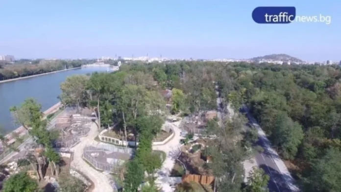 share_zooparkat-plovdiv-parvo-mechki-i-valtsi-516
