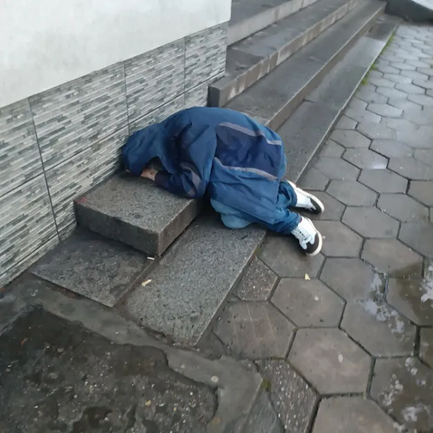 share_kakvo-ima-ulichnata-droga-plovdiv-275