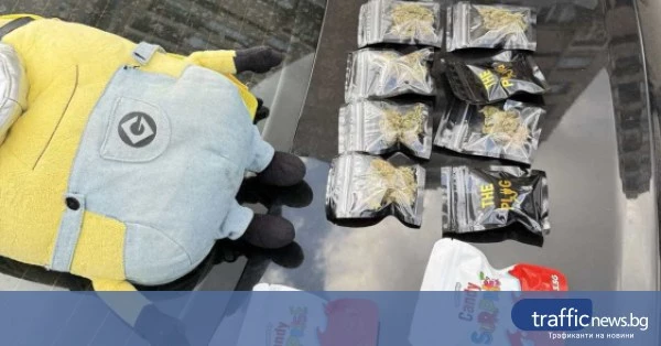 share_otkriha-lakomstva-marihuana-pri-tri-678
