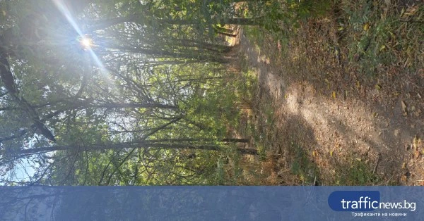 share_park-ne-beton-grazhdanite-ochertaha-629